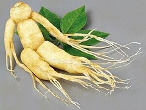 rădăcină de ginseng pentru potență